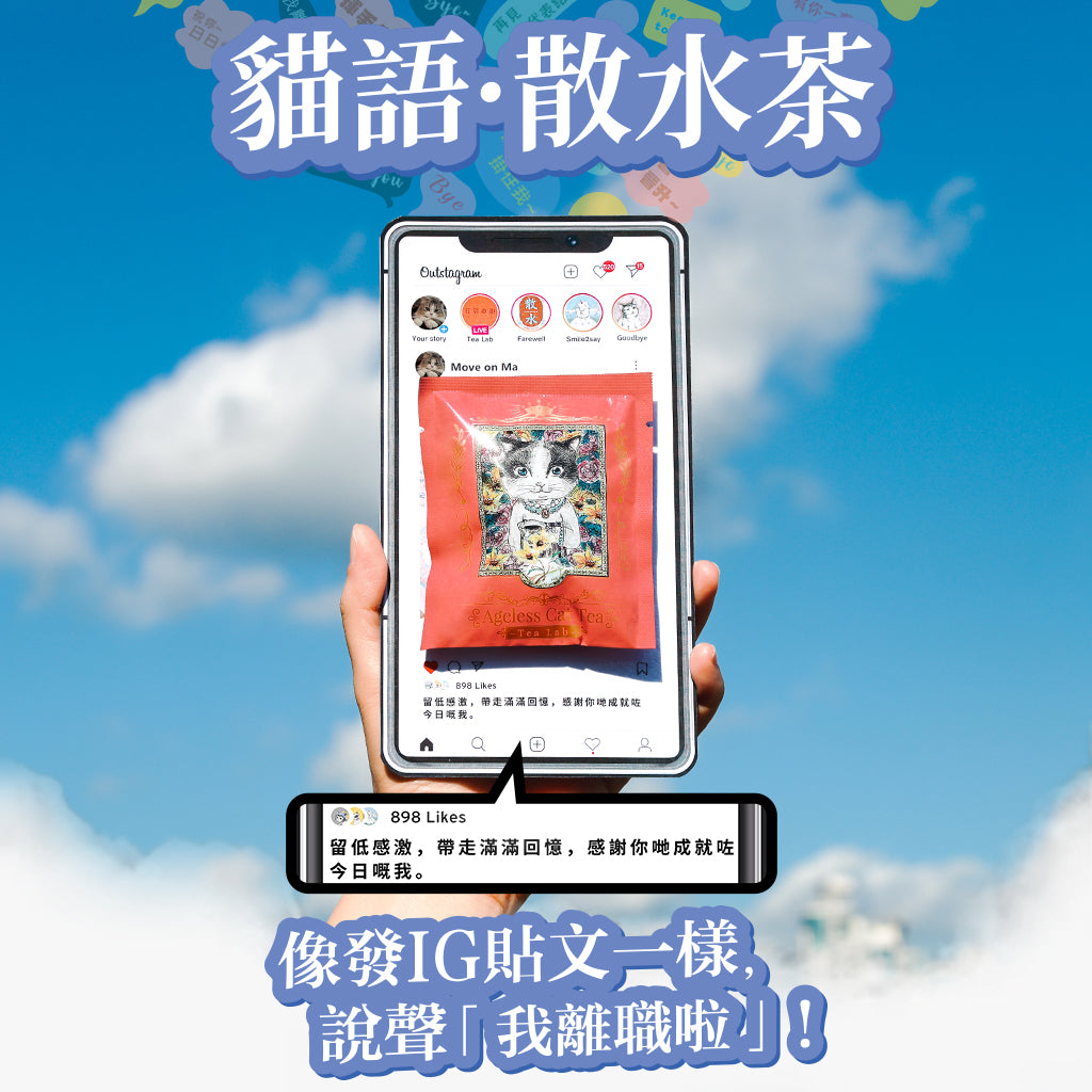 貓語．散水茶