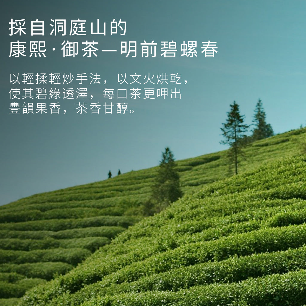 洞庭‧銀香碧螺春