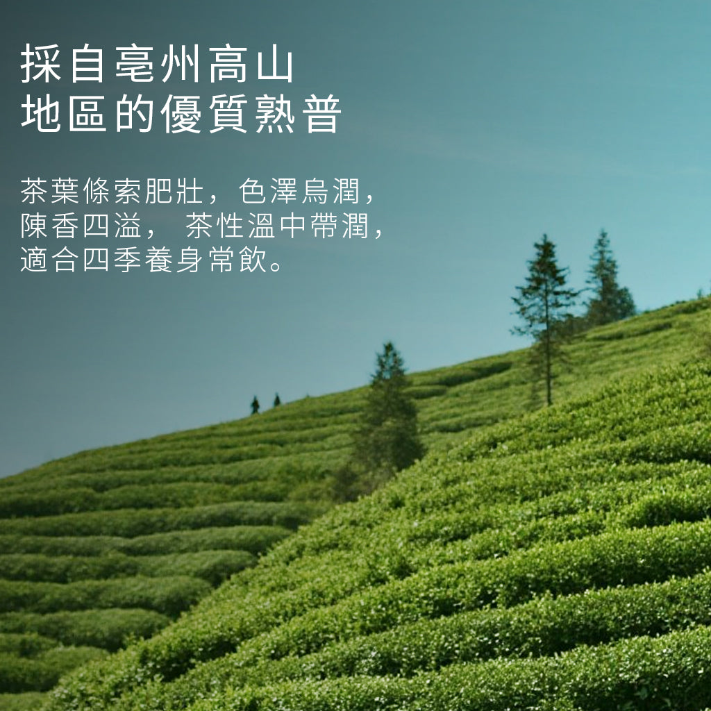 亳州‧陳皮普洱