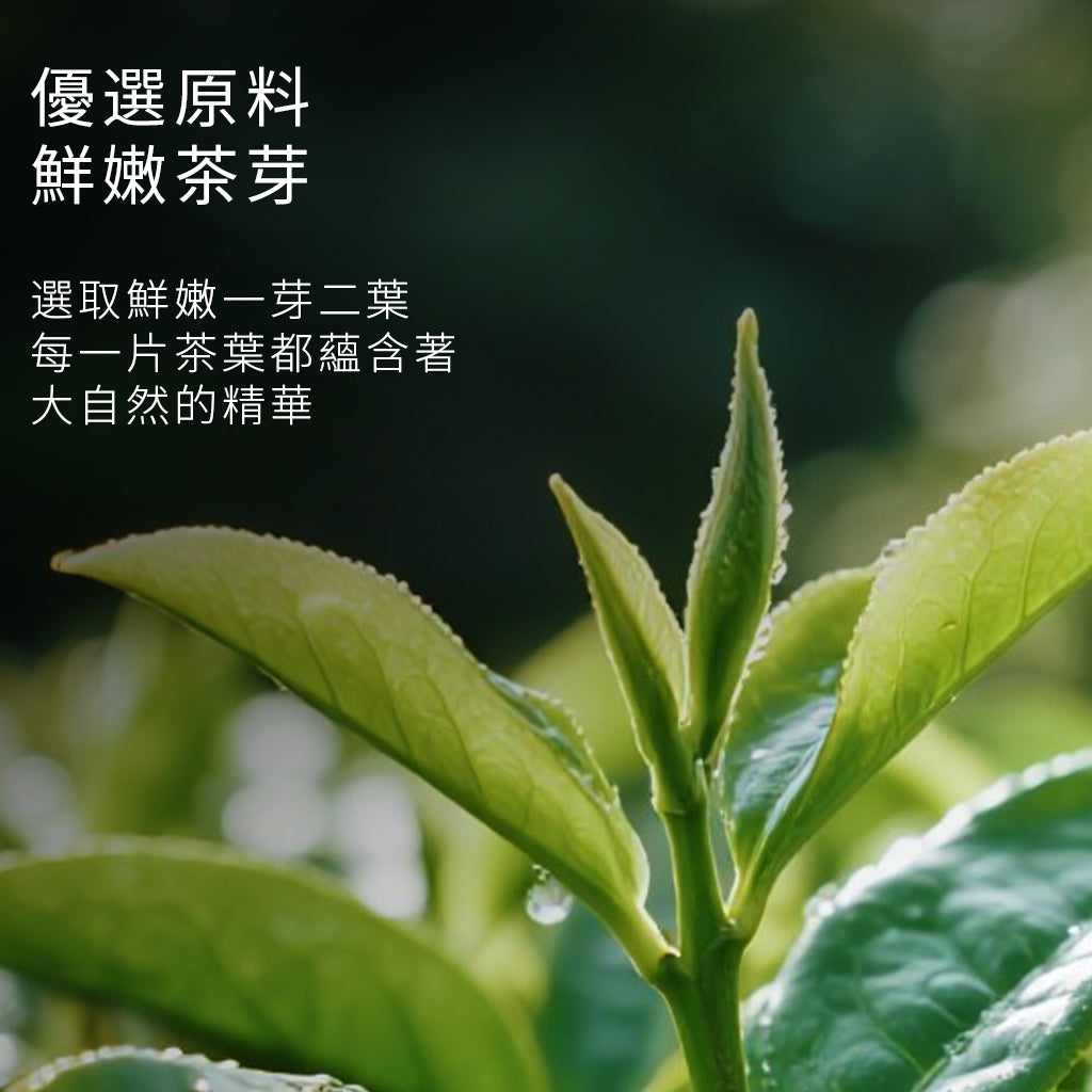 安溪‧炭韻觀音